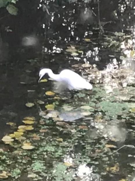 Reveil Aux Chants Des Oiseaux Asse-le-Riboul 外观 照片