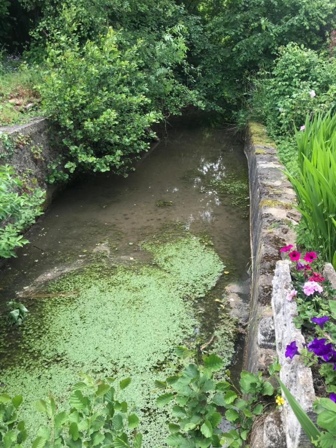 Reveil Aux Chants Des Oiseaux Asse-le-Riboul 外观 照片